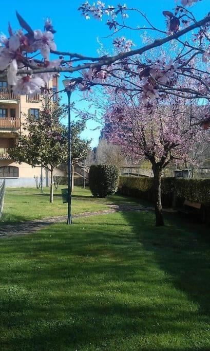 Apartment Ezcaray. Con Piscina Y Junto Al Rio *